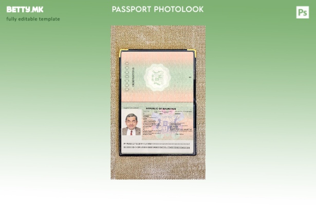 Модерен стил на Маврициус пасош присутен шаблон за фото изглед